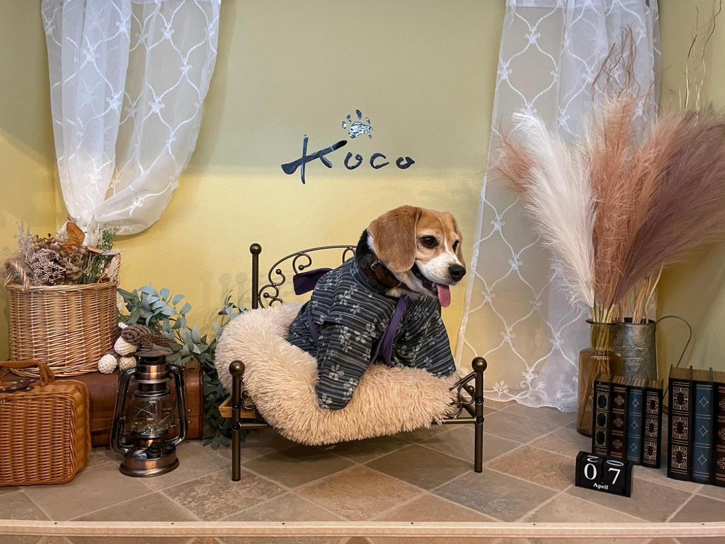 이토 Koco伊豆高原 빌라 외부 사진